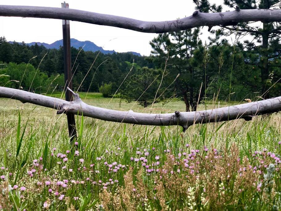 Boulder Best City And Nature With Lake And Trails Pets Ok Esterno foto