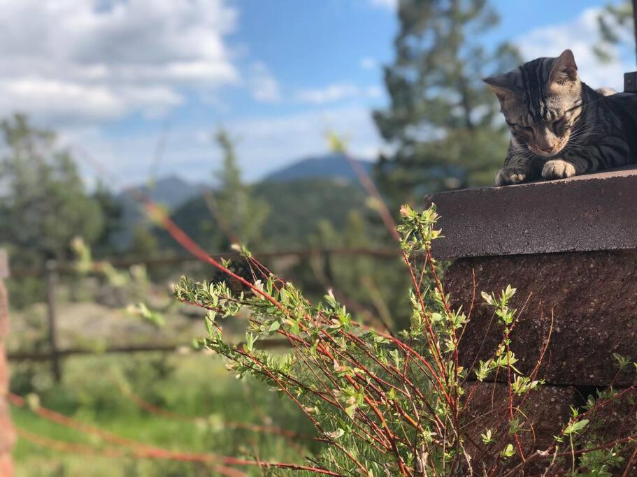 Boulder Best City And Nature With Lake And Trails Pets Ok Esterno foto